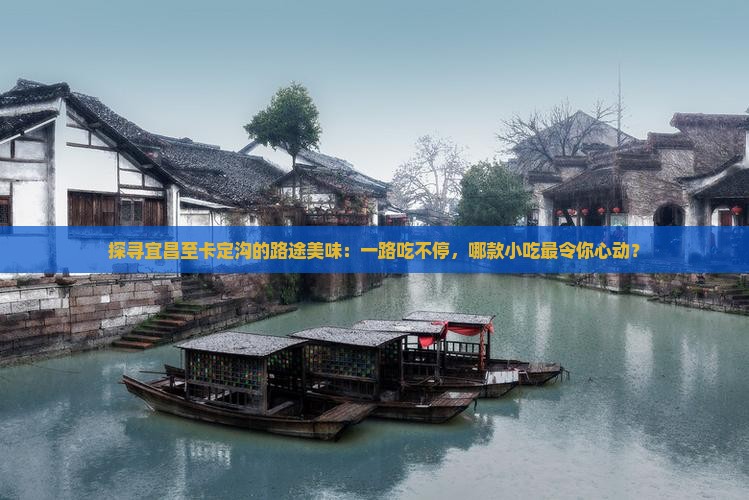 探寻宜昌至卡定沟的路途美味：一路吃不停，哪款小吃最令你心动？