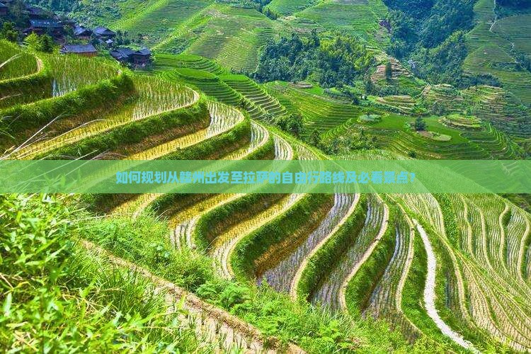 如何规划从赣州出发至拉萨的自由行路线及必看景点？
