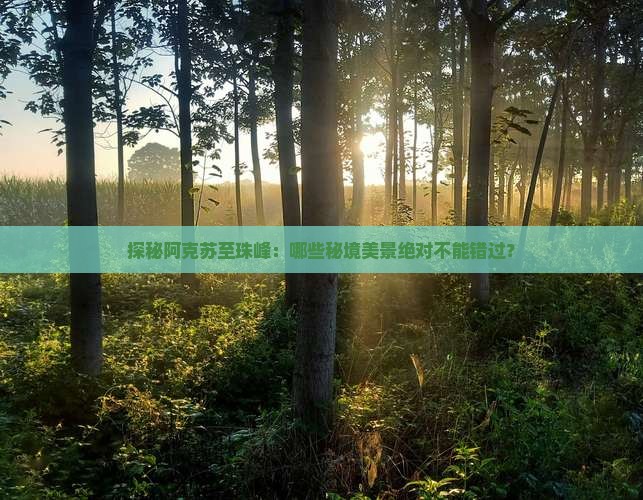 探秘阿克苏至珠峰：哪些秘境美景绝对不能错过？
