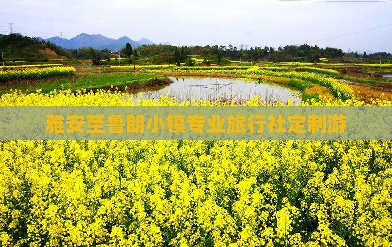 雅安至鲁朗小镇专业旅行社定制游