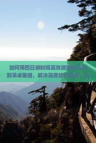 如何用四日游时间高效游览驻马店到羊卓雍措，解决高原旅行痛点，玩转新词热词？