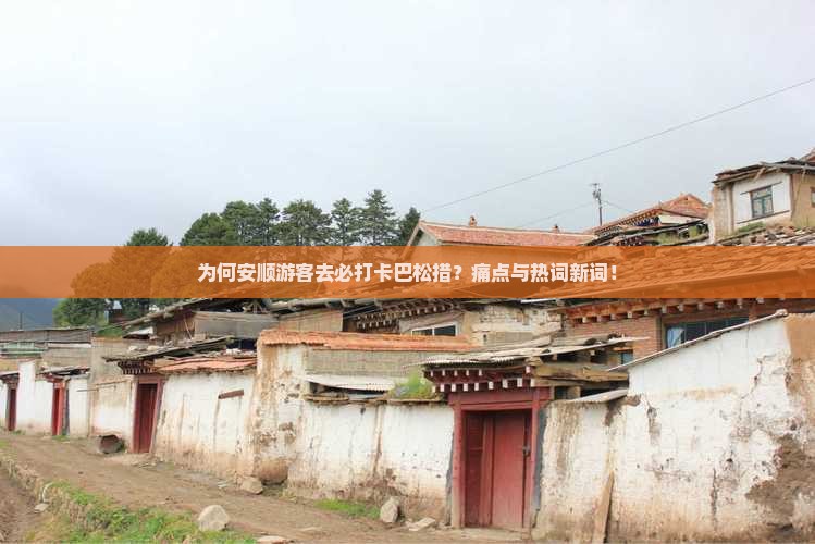 为何安顺游客去必打卡巴松措？痛点与热词新词！