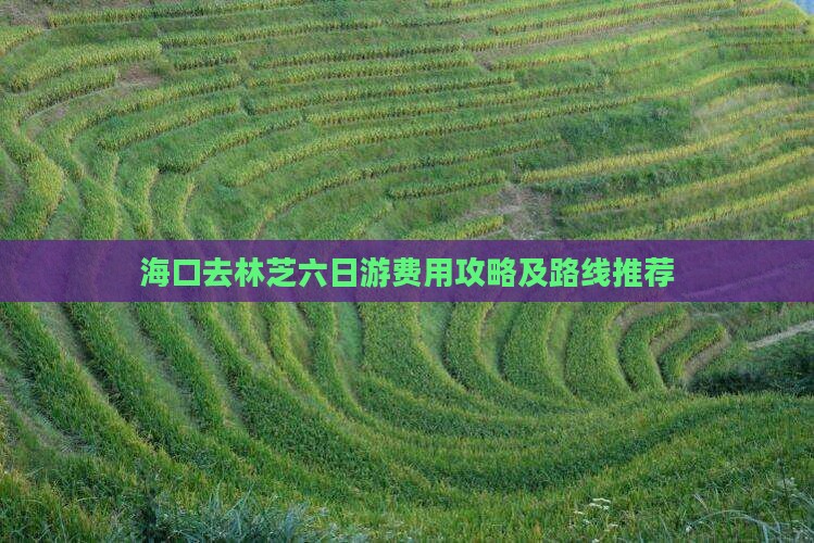 海口去林芝六日游费用攻略及路线推荐