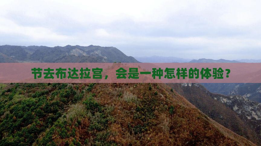 节去布达拉宫，会是一种怎样的体验？