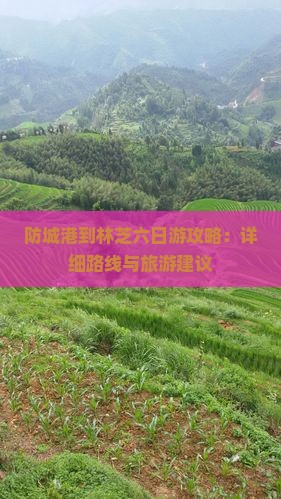 防城港到林芝六日游攻略：详细路线与旅游建议