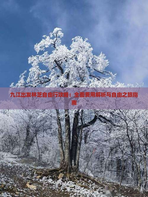 九江出发林芝自由行攻略：全面费用解析与自由之旅指南