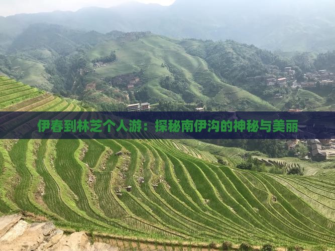 伊春到林芝个人游：探秘南伊沟的神秘与美丽