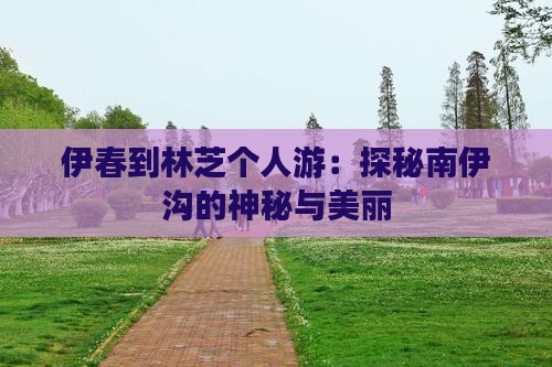 伊春到林芝个人游：探秘南伊沟的神秘与美丽