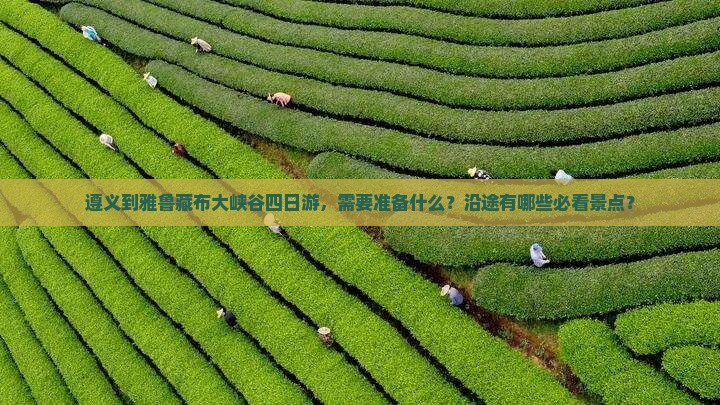 遵义到雅鲁藏布大峡谷四日游，需要准备什么？沿途有哪些必看景点？