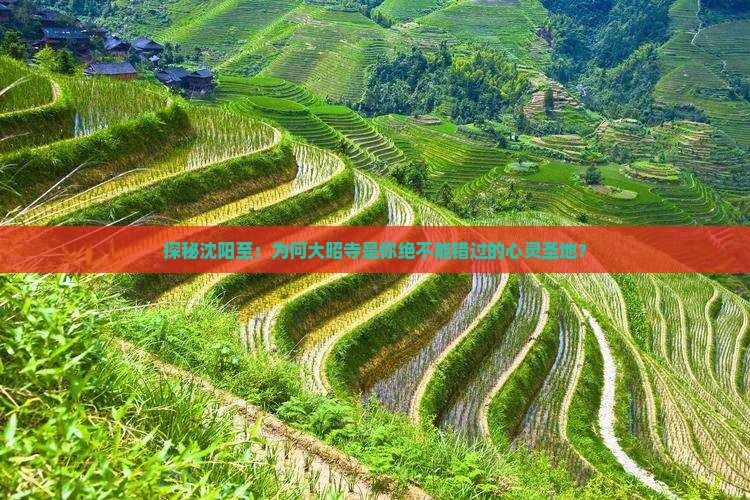 探秘沈阳至：为何大昭寺是你绝不能错过的心灵圣地？