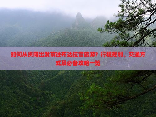 如何从资阳出发前往布达拉宫旅游？行程规划、交通方式及必备攻略一览
