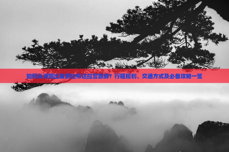 如何从资阳出发前往布达拉宫旅游？行程规划、交通方式及必备攻略一览