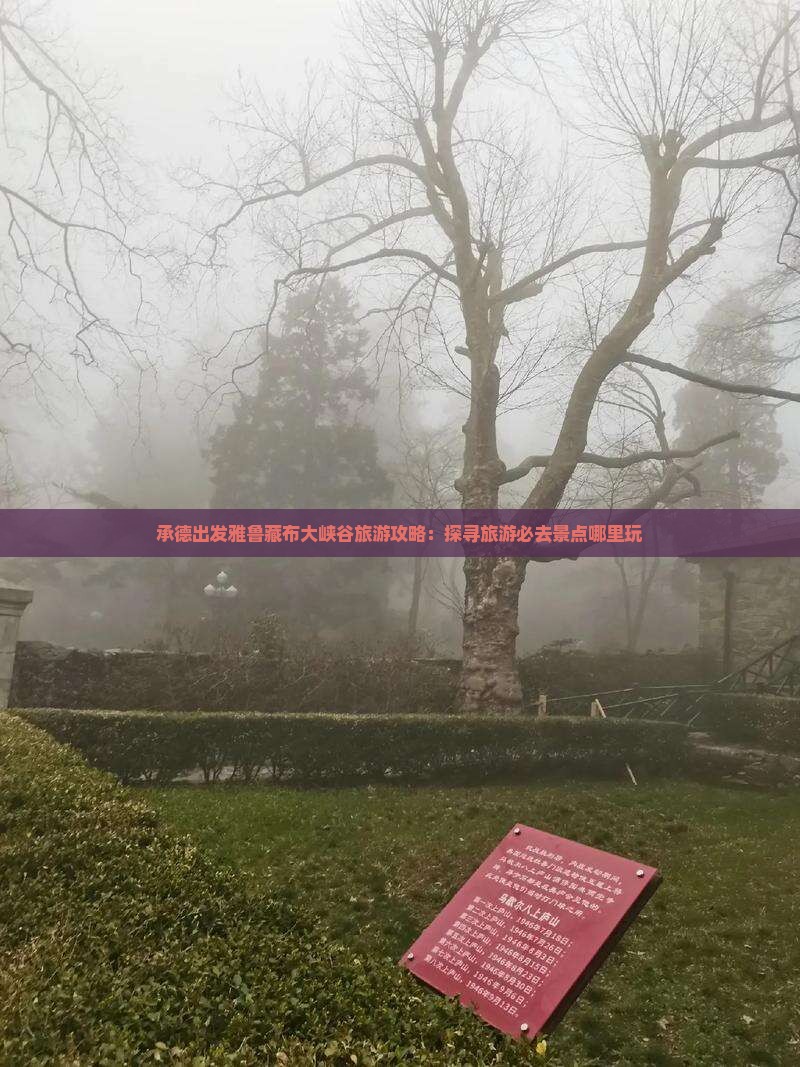 承德出发雅鲁藏布大峡谷旅游攻略：探寻旅游必去景点哪里玩