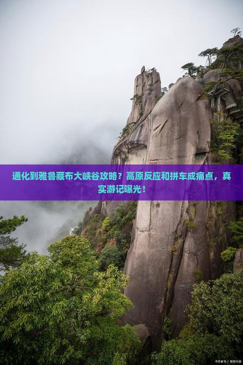 通化到雅鲁藏布大峡谷攻略？高原反应和拼车成痛点，真实游记曝光！