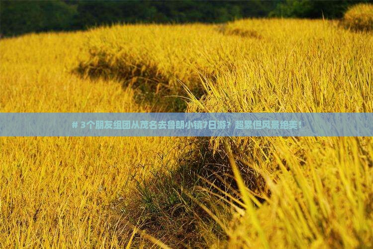 # 3个朋友组团从茂名去鲁朗小镇7日游？超累但风景绝美！