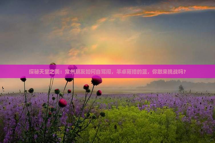 探秘天堂之美：常州朋友如何自驾闯，羊卓雍措的蓝，你敢来挑战吗？