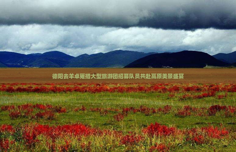 德阳去羊卓雍措大型旅游团招募队员共赴高原美景盛宴