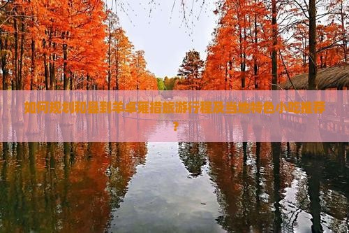 如何规划和县到羊卓雍措旅游行程及当地特色小吃推荐？