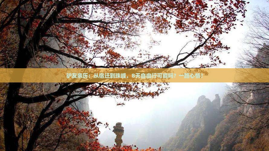 驴友亲历：从宿迁到珠峰，8天自由行可能吗？一路心情！