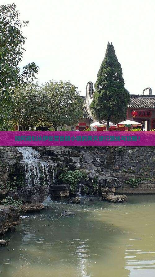 如何规划从伊犁至鲁朗小镇的两天旅行路线与攻略？