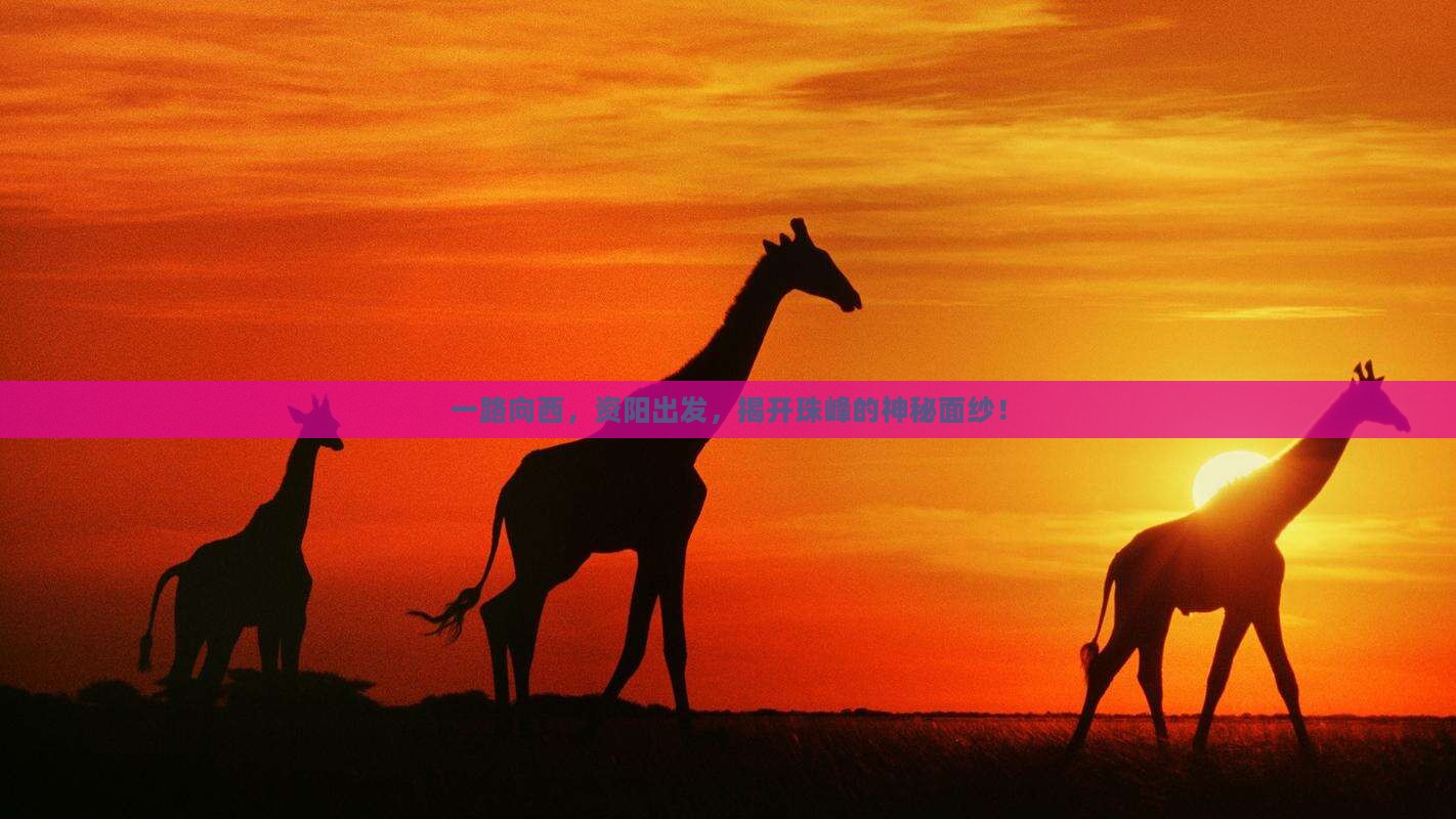 一路向西，资阳出发，揭开珠峰的神秘面纱！