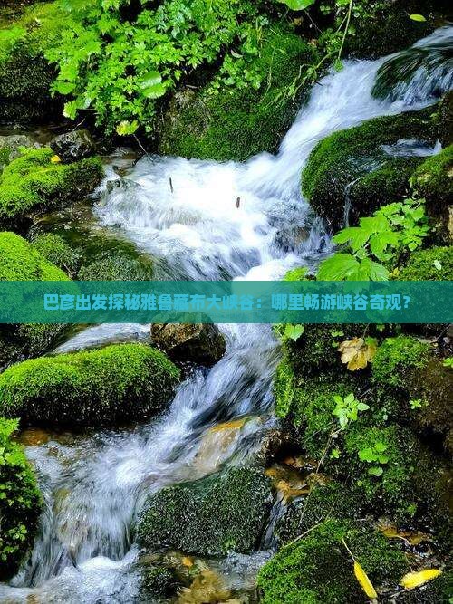 巴彦出发探秘雅鲁藏布大峡谷：哪里畅游峡谷奇观？