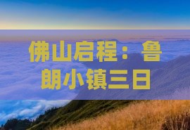 佛山启程：鲁朗小镇三日深度旅游探险