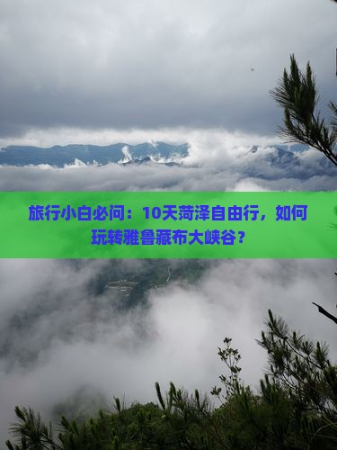 旅行小白必问：10天菏泽自由行，如何玩转雅鲁藏布大峡谷？