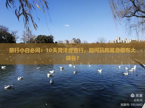旅行小白必问：10天菏泽自由行，如何玩转雅鲁藏布大峡谷？