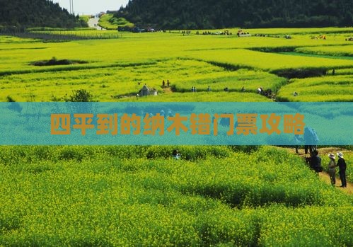 四平到的纳木错门票攻略