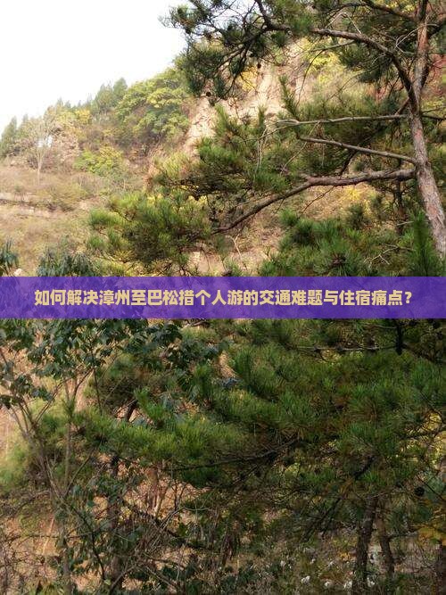 如何解决漳州至巴松措个人游的交通难题与住宿痛点？