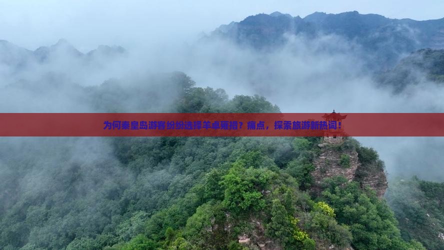 为何秦皇岛游客纷纷选择羊卓雍措？痛点，探索旅游新热词！