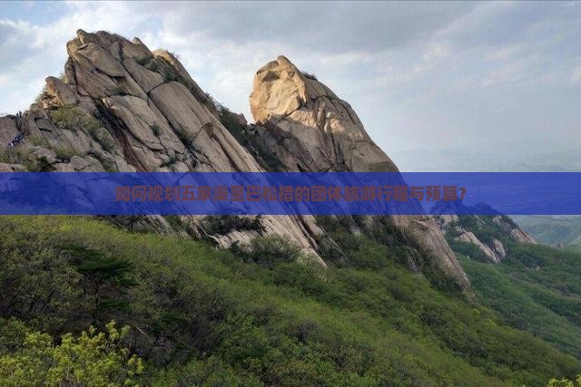 如何规划五家渠至巴松措的团体旅游行程与预算？