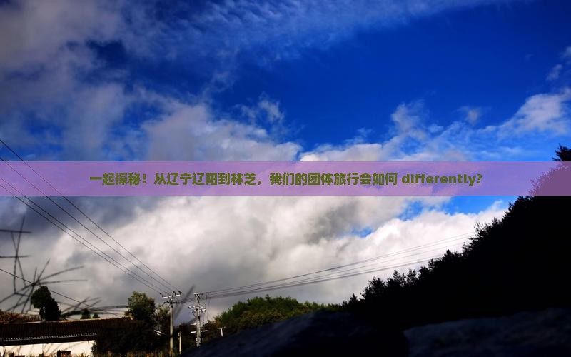 一起探秘！从辽宁辽阳到林芝，我们的团体旅行会如何 differently?