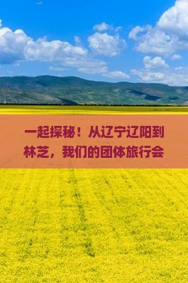 一起探秘！从辽宁辽阳到林芝，我们的团体旅行会如何 differently?