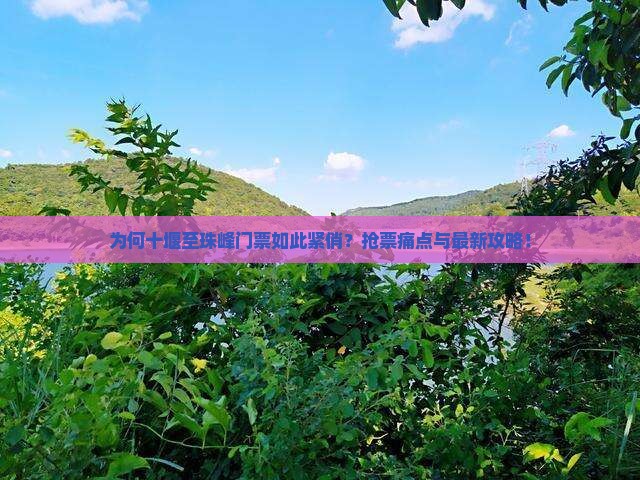 为何十堰至珠峰门票如此紧俏？抢票痛点与最新攻略！