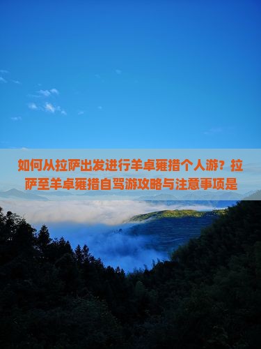 如何从拉萨出发进行羊卓雍措个人游？拉萨至羊卓雍措自驾游攻略与注意事项是什么？