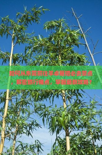 如何从东莞前往羊卓雍措必去景点，解密旅行痛点，掌握最新攻略？
