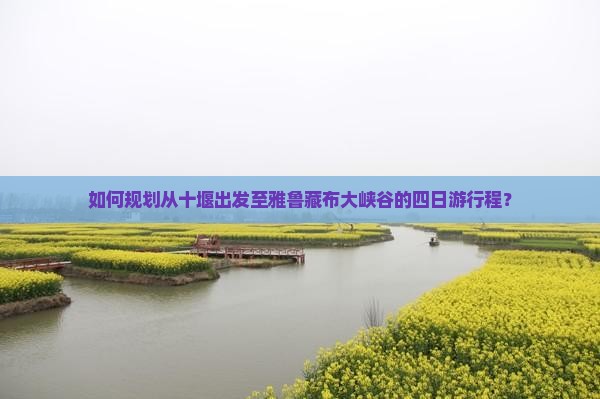 如何规划从十堰出发至雅鲁藏布大峡谷的四日游行程？