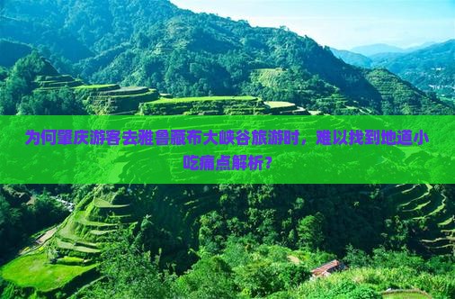 为何肇庆游客去雅鲁藏布大峡谷旅游时，难以找到地道小吃痛点解析？