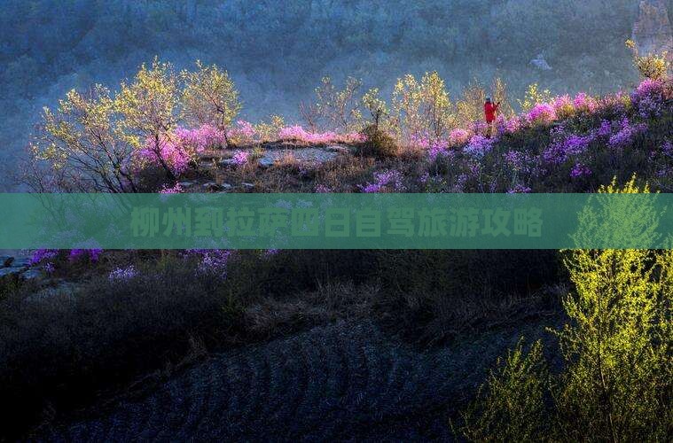 柳州到拉萨四日自驾旅游攻略