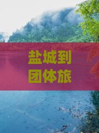 盐城到团体旅游攻略 盐城到团体旅游攻略