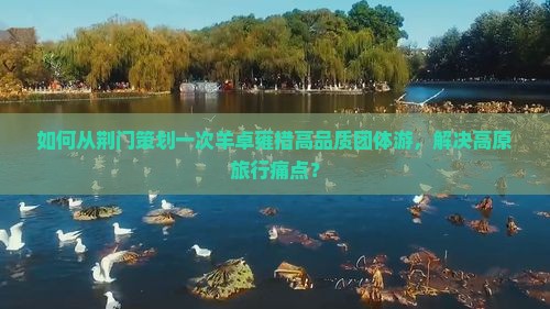 如何从荆门策划一次羊卓雍措高品质团体游，解决高原旅行痛点？
