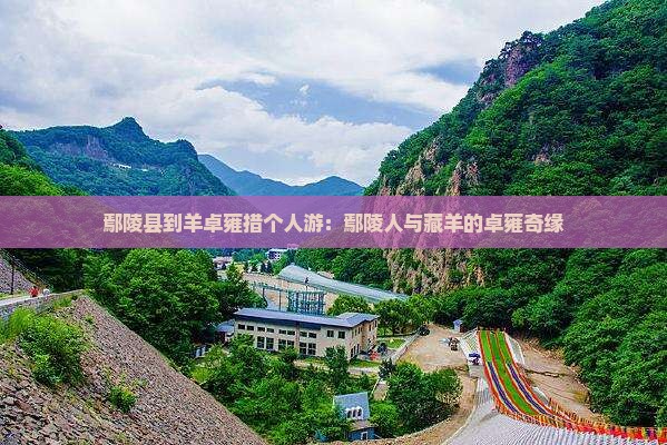 鄢陵县到羊卓雍措个人游:鄢陵人与藏羊的卓雍奇缘 鄢陵县到羊卓雍措个人游:鄢陵人与藏羊的卓雍奇缘