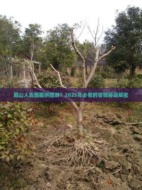 眉山到西藏团体旅游