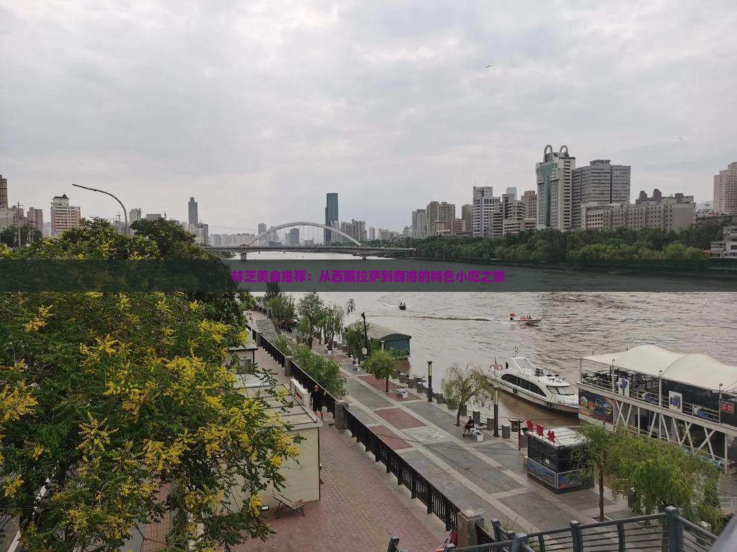 商洛到西藏林芝旅游小吃