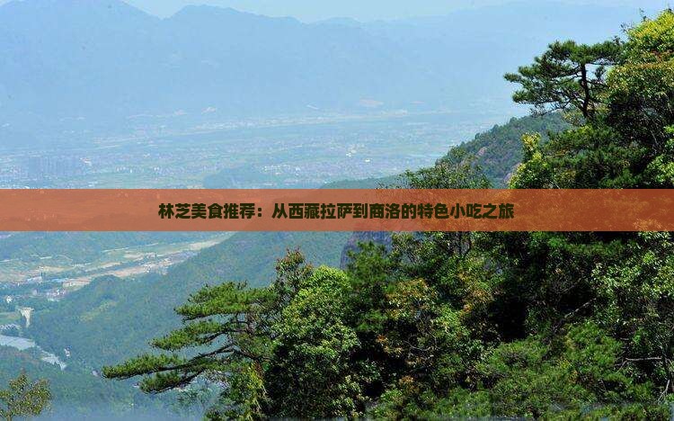 商洛到西藏林芝旅游小吃