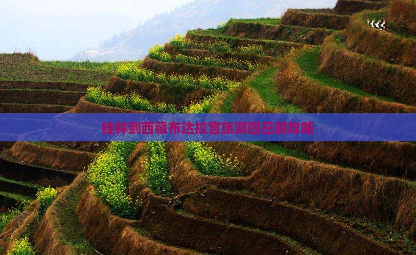 桂林去西藏布达拉宫四日游