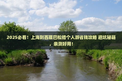 上海到西藏巴松措个人游
