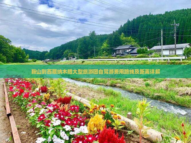 鞍山到西藏纳木措大型旅游团